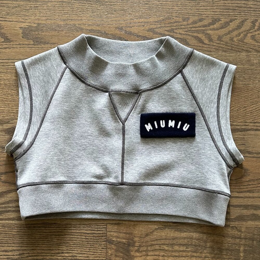 Miu Miu *Rare* Gray Fleece Crop Top - image 1